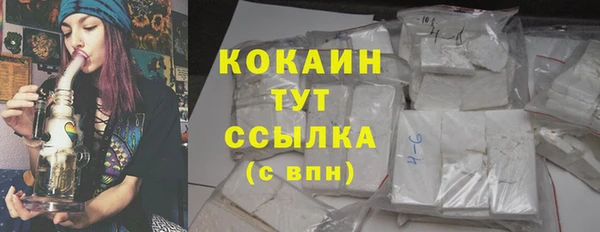 индика Балахна