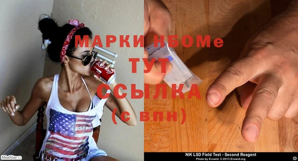 индика Балахна